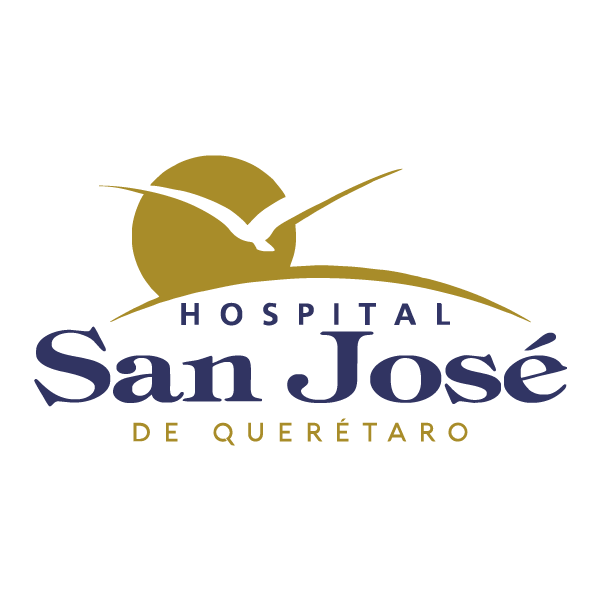 https://hospitalsanjosedequeretaro.com/